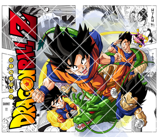 DRAGON BALL